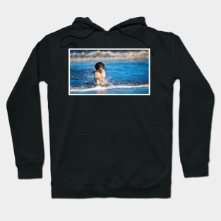 English Springer Spaniel Hoodie